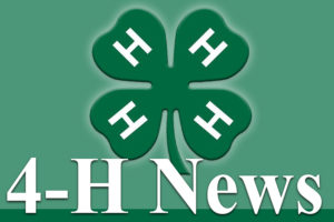 Cover photo for 4-H News