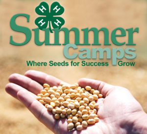 4-H summer camps