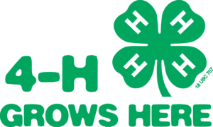Cover photo for NC 4-H Hall of Fame & Alumni Award Nominations