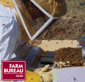 Beekeeper wearing protective clothing and working with bees. Image includes Farm Bureau logo