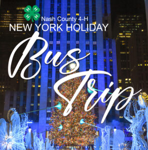 Cover photo for New York Holiday Bus Trip
