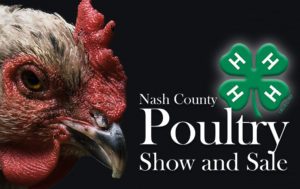 Cover photo for 4-H Poultry Show and Sale