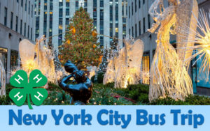 Cover photo for New York City Bus Trip