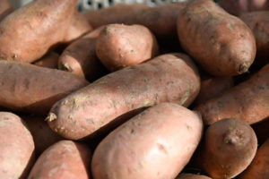 Cover photo for Renewal of Section 18 Label for Use of Mertect (Thiabendazole) in Sweetpotato Postharvest for Black Rot Control in Domestic Markets Has Been Approved