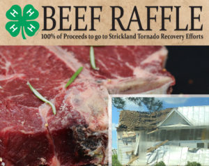 Cover photo for Beef Raffle