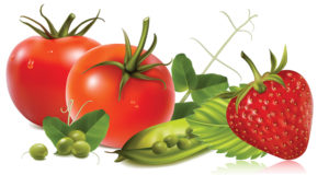 Cover photo for Home Food Preservation: Are You Ready?