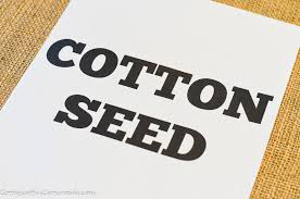 Cover photo for Cotton Seed Viability Test