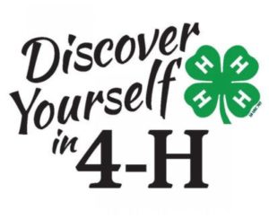 Discover Yourself in 4-H