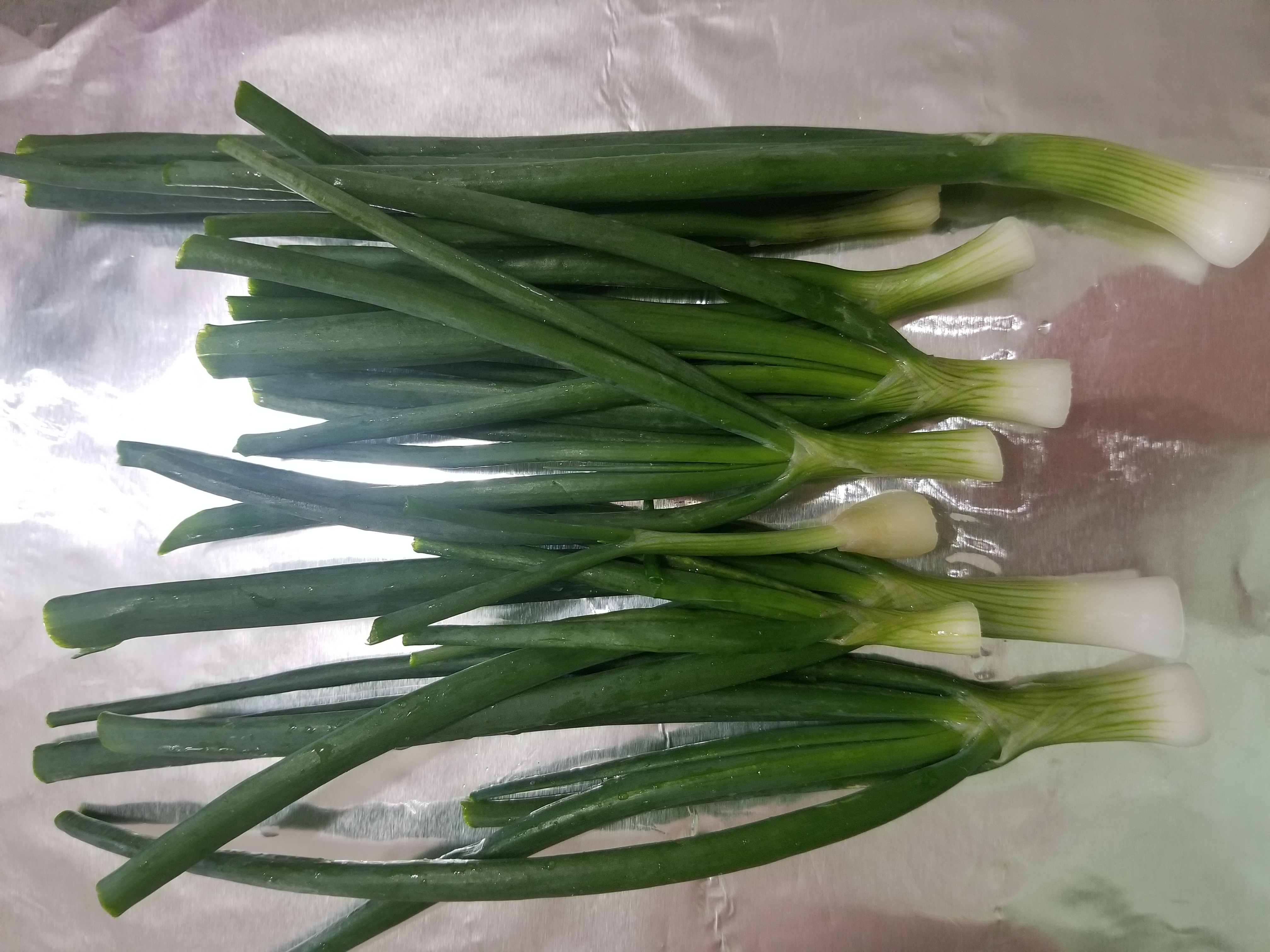 Cooking Up the Season Green Onions  North Carolina Cooperative Extension