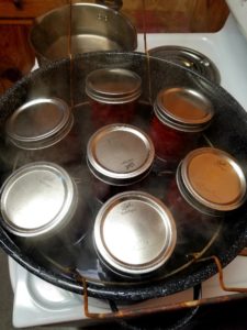 Cover photo for 2021 Virtual Home Food Preservation Classes