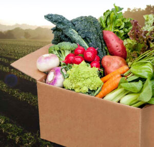 Cover photo for CSA Boxes Available for Seniors