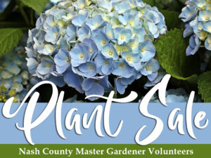 Cover photo for Master Gardener Volunteer Plant Sale