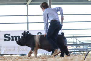 Cover photo for Livestock Show and Sale Winners
