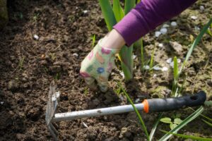 Cover photo for 2022 Extension Master Gardener Volunteer Training