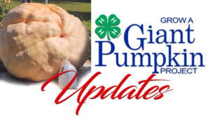 Cover photo for Grow a Giant Pumpkin Project Updates