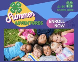 Cover photo for 4-H Summer Camps