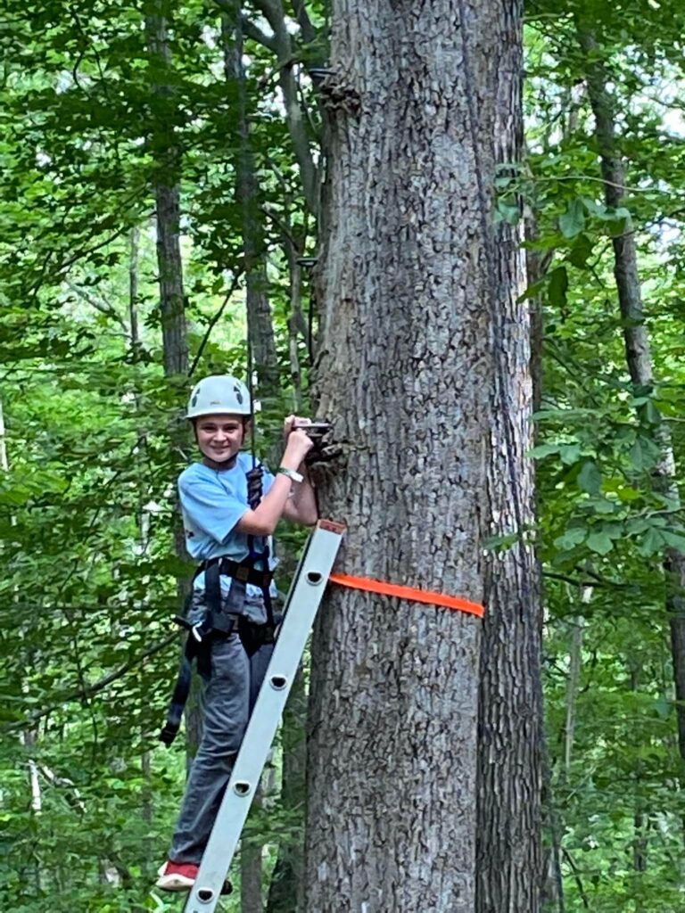 A boy in safety equipment climbing a tree.