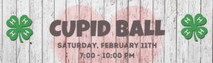 Cover photo for Cupid Ball