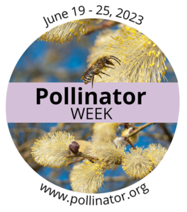 Cover photo for Pollinator Week - June 19- 25,2023