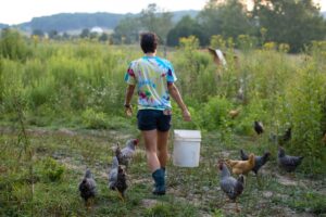 Cover photo for Homesteading Workshop