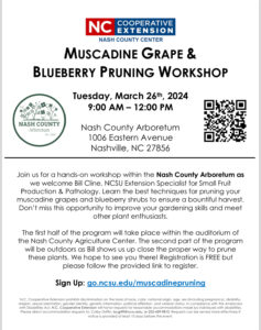 Cover photo for Muscadine Grape & Blueberry Pruning Workshop