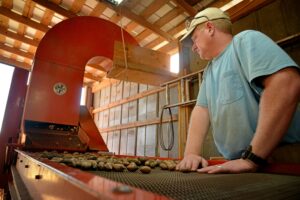 Cover photo for $6.2 Million in Grants Available to Strengthen North Carolina’s Food Supply Chain Infrastructure!