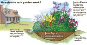 Cover photo for April Gardening News