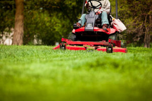 Cover photo for Caring for Your Lawns and the Environment
